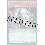 DD魔導賢者トーマス【レア】{TDIL-JP010}《モンスター》