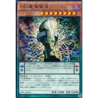 〔状態B〕DD魔導賢者トーマス【レア】{TDIL-JP010}《モンスター》