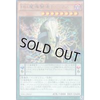 DD魔導賢者トーマス【レア】{TDIL-JP010}《モンスター》