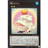 〔状態B〕餅カエル【レア】{INOV-JP052}《エクシーズ》