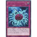 バージェストマディノミスクス【スーパー】{19TP-JP402}《罠》