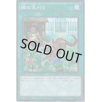 〔状態B〕隣の芝刈り【シークレット】{RATE-JP066}《魔法》