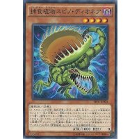 捕食植物スピノディオネア【ノーマル】{SPFE-JP004}《モンスター》