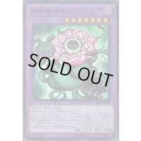 〔状態B〕捕食植物キメラフレシア【スーパー】{SPFE-JP009}《融合》