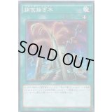 捕食接ぎ木【ノーマル】{SPFE-JP012}《魔法》