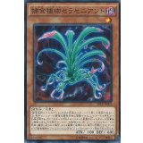 〔状態A-〕捕食植物セラセニアント【ノーマル】{SPFE-JP001}《モンスター》
