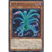 捕食植物セラセニアント【ノーマル】{SPFE-JP001}《モンスター》
