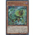 〔状態A-〕捕食植物サンデウキンジー【スーパー】{SPFE-JP005}《モンスター》