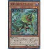 〔状態A-〕捕食植物サンデウキンジー【スーパー】{SPFE-JP005}《モンスター》