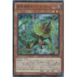 画像1: 〔状態A-〕捕食植物サンデウキンジー【スーパー】{SPFE-JP005}《モンスター》