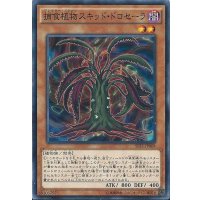 捕食植物スキッドドロセーラ【ノーマル】{INOV-JP008}《モンスター》
