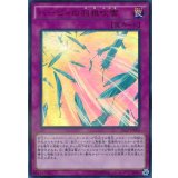 〔状態B〕ハーピィの羽根吹雪【ウルトラパラレル】{20AP-JP004}《罠》