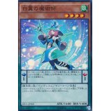 〔状態A-〕白翼の魔術師【スーパー】{SD31-JP005}《モンスター》