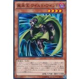 〔状態A-〕風来王ワイルドワインド【シークレット】{PP19-JP013}《モンスター》
