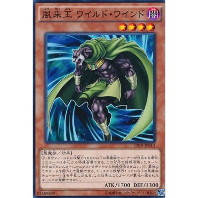 〔状態B〕風来王ワイルドワインド【ノーマル】{PP19-JP013}《モンスター》