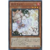 〔状態A-〕灰流うらら【シークレット】{MACR-JP036}《モンスター》