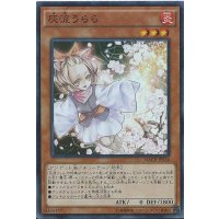 〔状態A-〕灰流うらら【シークレット】{MACR-JP036}《モンスター》