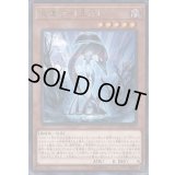 〔状態B〕星遺物星杯【レア】{COTD-JP023}《モンスター》