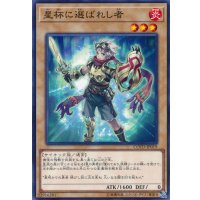 星杯に選ばれし者【ノーマル】{COTD-JP019}《モンスター》