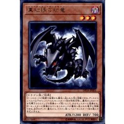 画像1: 〔状態B〕真紅眼の幼竜【レア】{DP18-JP001}《モンスター》