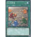 〔状態B〕化石調査【ノーマル】{ANPR-JP062}《魔法》