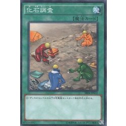 画像1: 化石調査【ノーマル】{ANPR-JP062}《魔法》