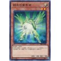 緑光の宣告者【ノーマル】{SR05-JP020}《モンスター》