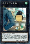 〔状態B〕キキナガシ風鳥【ノーマル】{18PR-JP005}《エクシーズ》