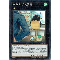 画像1: 〔状態B〕キキナガシ風鳥【ノーマル】{18PR-JP005}《エクシーズ》