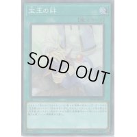 〔状態B〕宝玉の絆【スーパー】{DP19-JP039}《魔法》