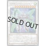 〔状態B〕DDD疾風大王エグゼクティブアレクサンダー【レア】{COTD-JP040}《シンクロ》