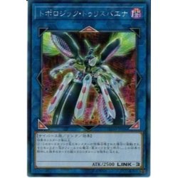 画像1: 〔状態B〕☆アジア☆トポロジックトゥリスバエナ【シークレット】{アジアFLOD-JP036}《リンク》