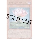 サクリファイスロータス【ノーマル】{PTDN-JP004}《モンスター》