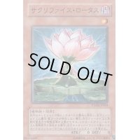 サクリファイスロータス【ノーマル】{PTDN-JP004}《モンスター》