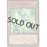 プランキッズパルス【ノーマルパラレル】{DBHS-JP014}《モンスター》