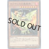 ネフティスの鳳凰神【ノーマルパラレル】{DBHS-JP012}《モンスター》