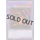 〔状態B〕メテオブラックドラゴン【シークレット】{BE01-JP208}《融合》