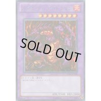 〔状態B〕メテオブラックドラゴン【シークレット】{BE01-JP208}《融合》