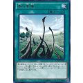 竜の霊廟【ノーマル】{DP20-JP010}《魔法》