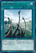 竜の霊廟【ノーマル】{DP20-JP010}《魔法》