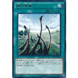 画像1: 竜の霊廟【ノーマル】{DP20-JP010}《魔法》