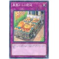 〔状態B〕農園からの配送【ミレニアム】{YCPC-JP003}《罠》