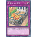 〔状態B〕農園からの配送【ミレニアム】{YCPC-JP003}《罠》