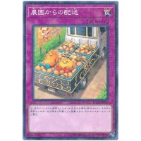 〔状態B〕農園からの配送【ミレニアム】{YCPC-JP003}《罠》