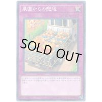 農園からの配送【ミレニアム】{YCPC-JP003}《罠》