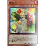 〔状態A-〕讃美火【スーパー】{JF19-JP002}《モンスター》