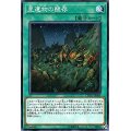 星遺物の醒存【ノーマル】{CYHO-JP060}《魔法》