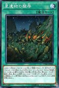星遺物の醒存【ノーマル】{CYHO-JP060}《魔法》
