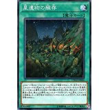 星遺物の醒存【ノーマル】{CYHO-JP060}《魔法》