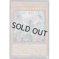 〔状態B〕☆アジア☆混源龍レヴィオニア【シークレット】{アジアSOFU-JP025}《モンスター》
